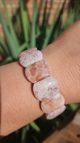 Fossilised coral jade - fossilised,