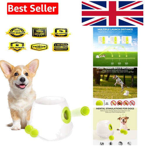 Automatic dog ball - launcher,