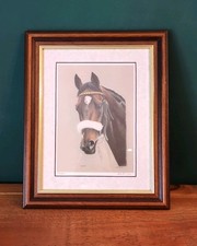 Pentire Equine Portrait Horse