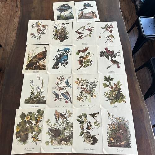 Complete set audubon bird - complete,