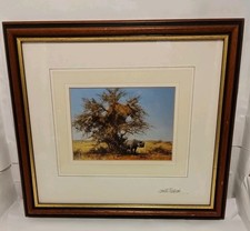 David shepherd rhinoceros - david,