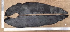 Genuine Stingray Shagreen Skin