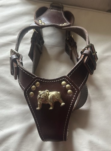 Brown leather bull dog - brown,