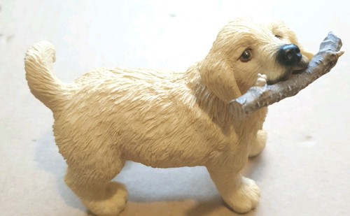 Fetch golden retriever - golden,
