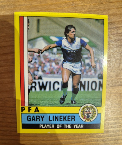 Panini football gary - 87,