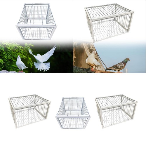 Pigeon trap cage single way - trap,