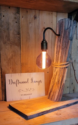 Conwy driftwood lamp - conwy,
