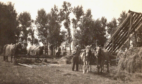 Rppc early farm hay - ,