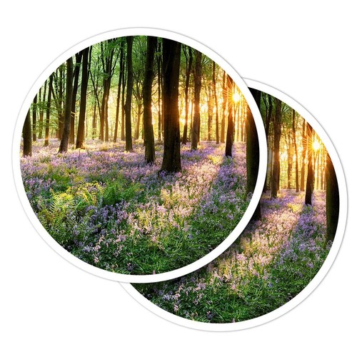 Vinyl stickers bluebell - 2x,