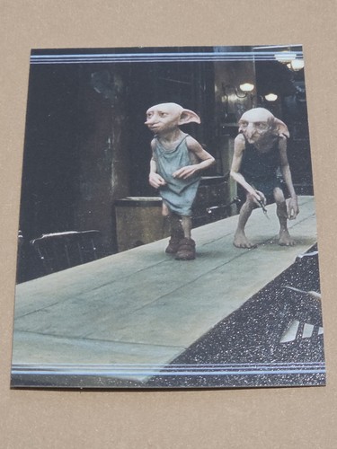 Panini harry potter always - harry,