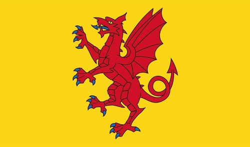 Somerset emblem flag vinyl - emblem,