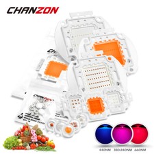 Royal Blue Full Spectrum Led