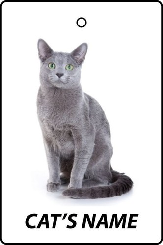 Personalised russian blue cat - russian,