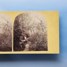 Hastings Stereoview C1870 Real