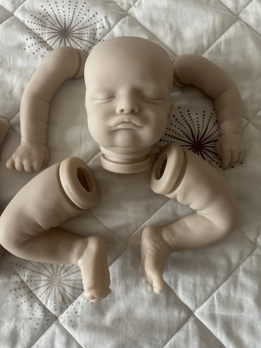 Reborn kit with body - kit,