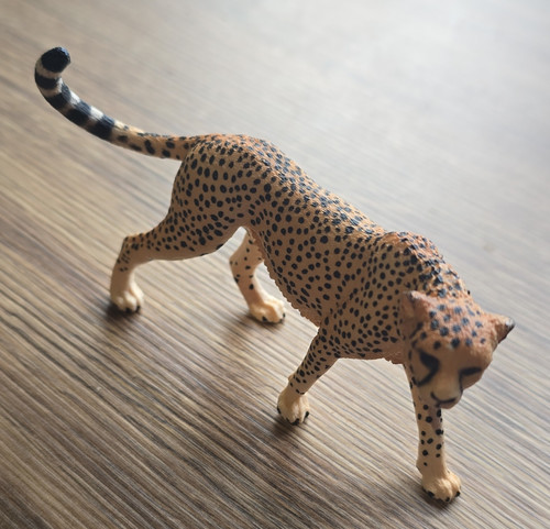 Cheetah leopard style - cheetah/leopard, plastic
