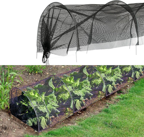 Kct garden allotment grow - garden,