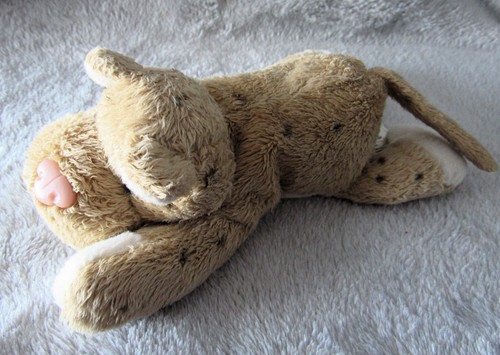 Telitoy soft toy dog beige - soft,