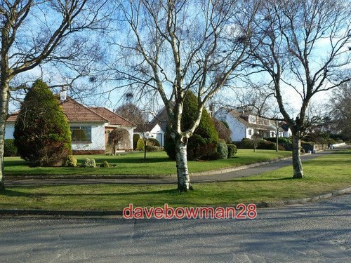 Photo site doonfoot pow - site,