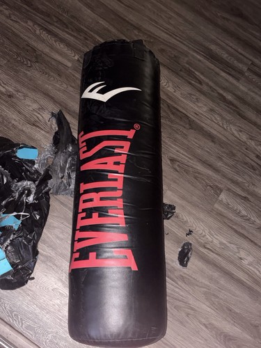 Everlast heavy bag punching - everlast,