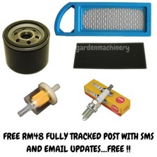 BRIGGS & STRATTON SERVICE KIT