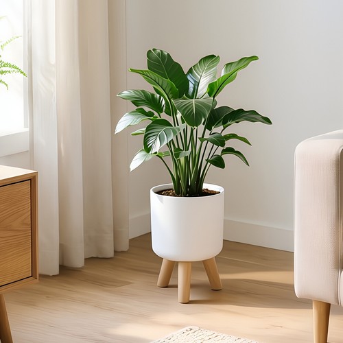 Round plastic plant pot indoor - round,