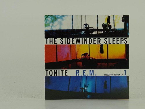 The sidewinder sleeps - r.e.m,