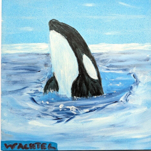 Original 6x6 orca - original,