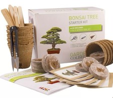 Bonsai Tree KIT - Grow 6 of Your OWN Bonsai Trees from Seeds  Gardening Gift Set
