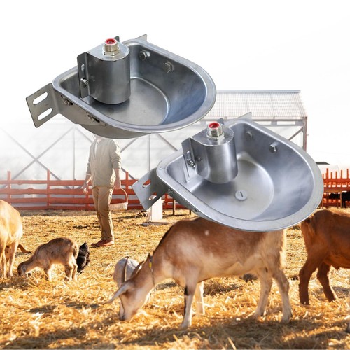 Automatic water dispenser - automatic, for
