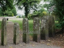 PHOTO  THOMPSON'S GRAVE BERRY