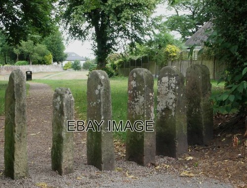 Photo thompson grave berry - photo,