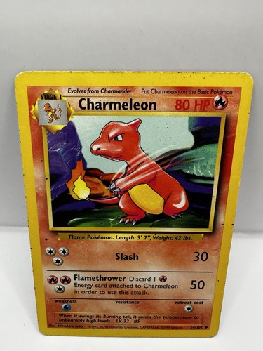 Pokémon tcg charmeleon base - pokémon,