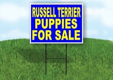Russell Terrier PUPPIES FOR