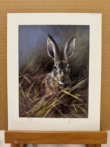 Mick cawston head a hare - a,