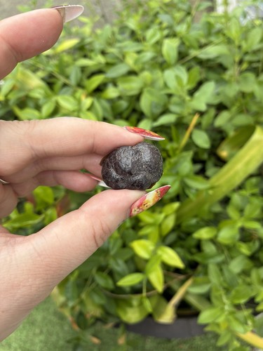 Tektite meteorite impact - meteorite,
