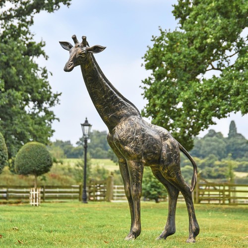 Stunning freestanding giraffe - freestanding,