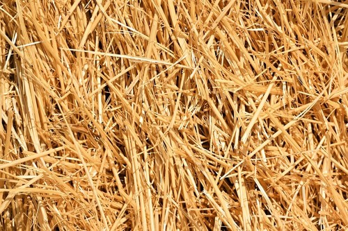 100 natural wheat straw - natural,
