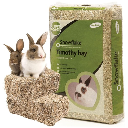 Timothy hay natural - hay,