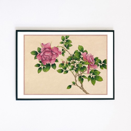 Japanese flowers 1904 - flowers,