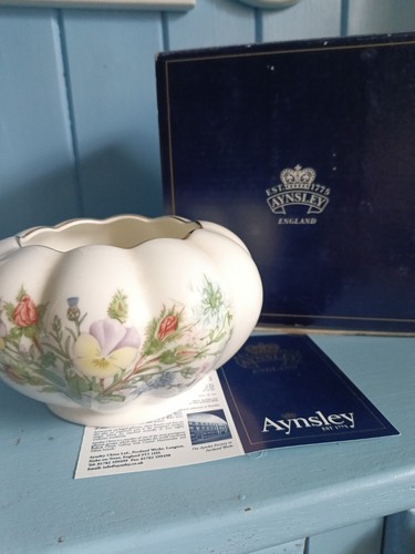 Aynsley wild tudor - wild,