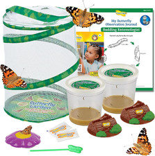 Butterfly Garden with 10 Live