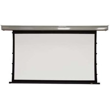 AV Link 100" Electric