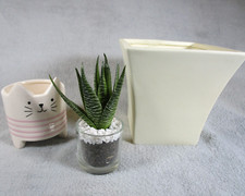 Lovely Vintage Cream Colour Plant Pot Holder / Cactus Pot & Faux Aloe Vera Pot