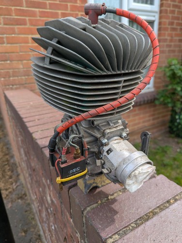 100cc parilla stroke reed - 100cc, 2