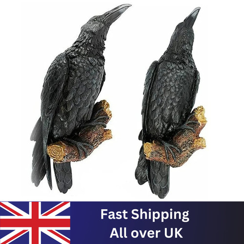 Black standing crows perch - black,