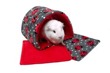 Guinea Pig And Small Animals