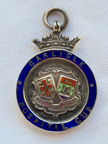 Sterling silver enamel - silver,