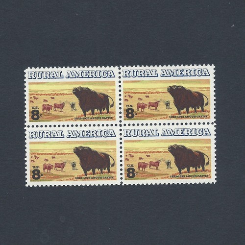 Black angus cattle vintage - cattle,