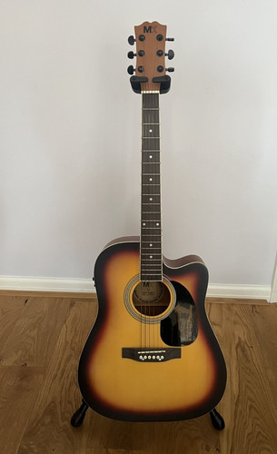 Electro acoustic guitar - electro,